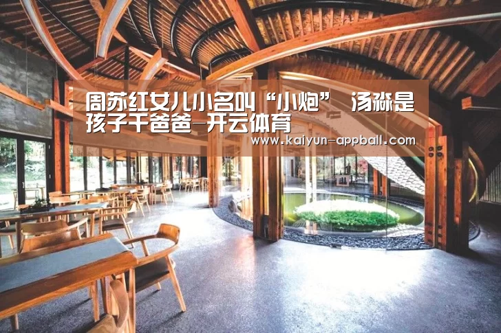 开云体育下载