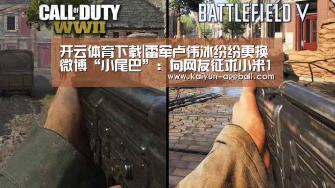 开云体育下载